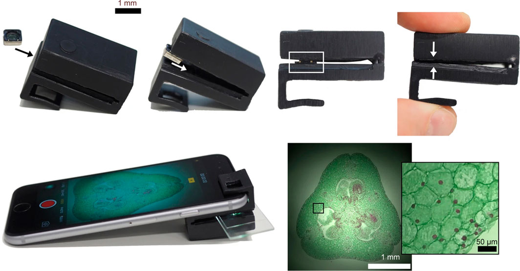 articulo-GCristobal-microscopios-2 Photos of a large clip-shaped adapter to be able to use a mobile camera as a microscope