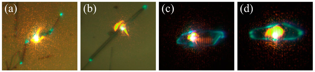 articulo-RocioAriza-prop2D-02-baja cristales microscopicos son iluminados para comprobar que se transmite la luz por su interior