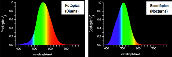 articulo-espectro-fotopica Two graphs showing how blue looks better at night and red during the day