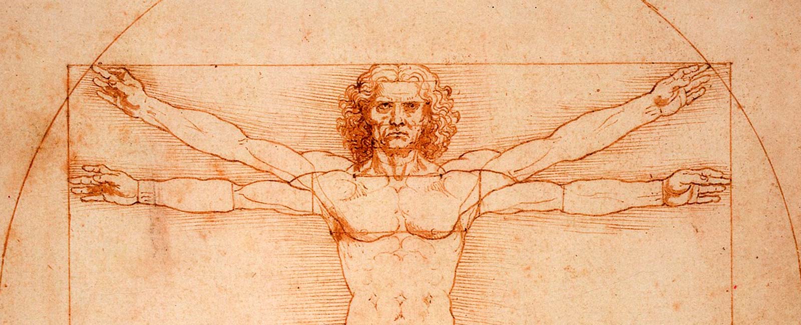 leonardo-da-vinci-vitruvio-1600x650 Parte superior del hombre de Vitruvio