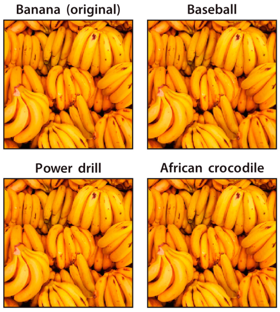 articulo-proy-bbva03 4 fotos aparentemente iguales que son catalogadas como otros objetos, por ejemplo como un cocodrilo africano