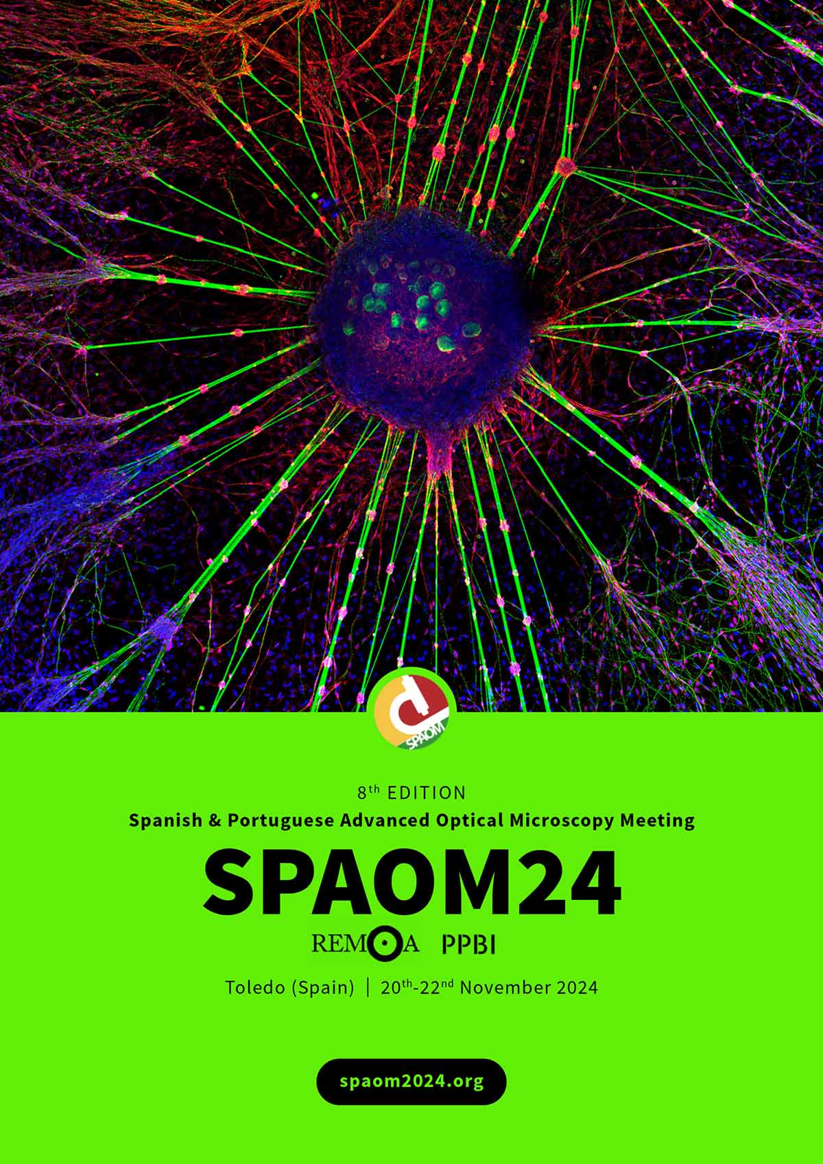 poster-SPAOM24-scaled-baja imagen a microscopio de una estructura redonda central que está unida por muchos hilos a una estructura filamentosa que la rodea