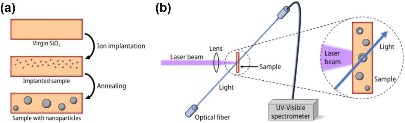 articulo-olivares-j_nanoph-2023-0881_fig_001
