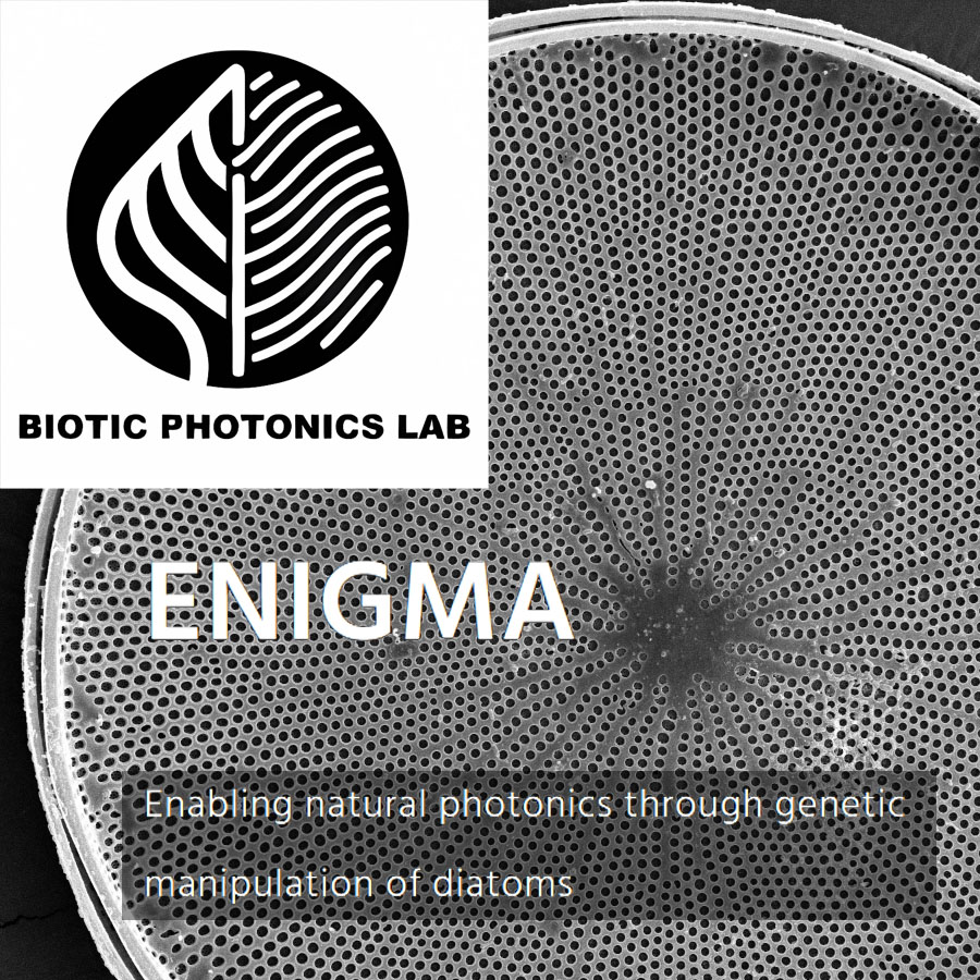 Postdoctoral contract offer at the BIOTIC Photonics Lab