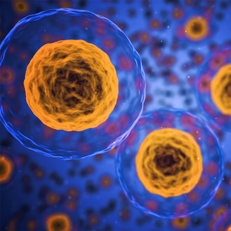 Cursos de microscopía organizados por el Instituto de Óptica para el 2025