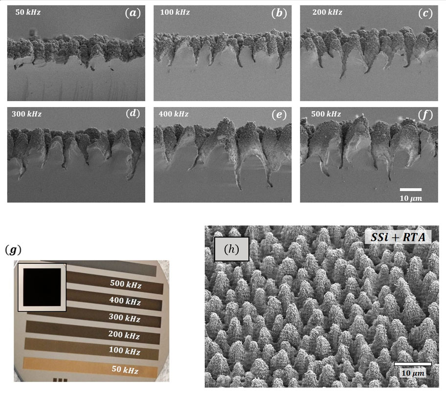 articulo-2025-01Graphical Abstract_v2 Diferentes vistas a microscopio en blanco y negro de las estructuras cónicas generadas, similares a cientos de dientes tipo colmillo