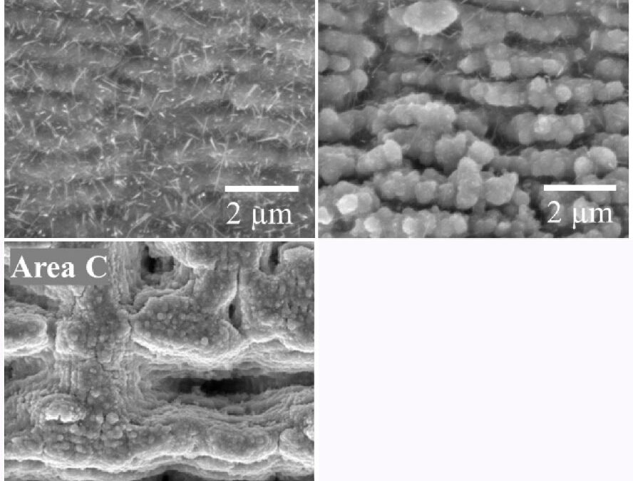 Crecimiento selectivo de micro y nanoestructuras de ZnO en sustratos de Zn metálicos procesados con láser fs para aplicaciones de gran superficie