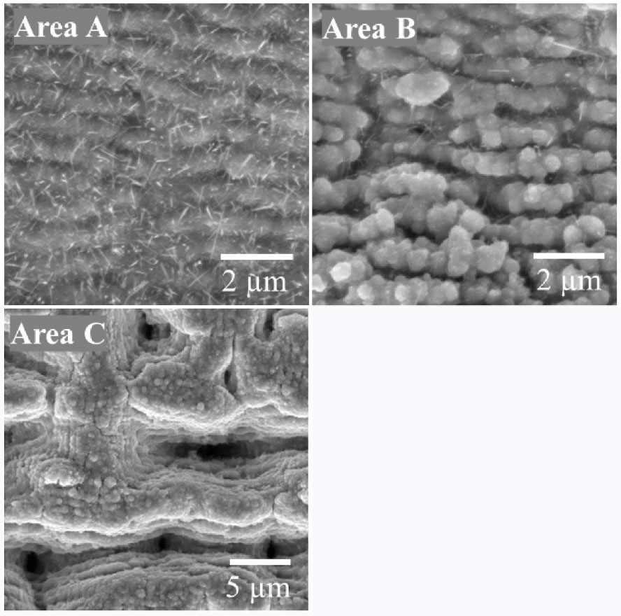 Crecimiento selectivo de micro y nanoestructuras de ZnO en sustratos de Zn metálicos procesados con láser fs para aplicaciones de gran superficie