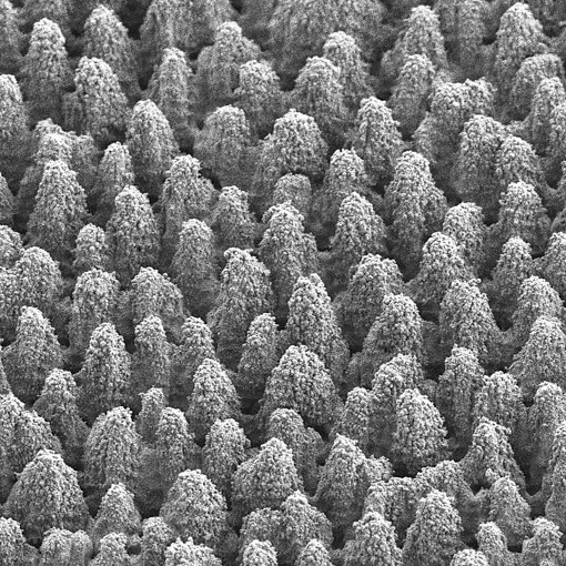Sintonización de morfologías puntiagudas en silicio mediante procesado sostenible por láser de femtosegundos en aire para una mejor absorción de luz.
